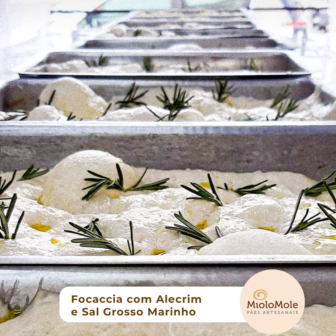 Focaccia